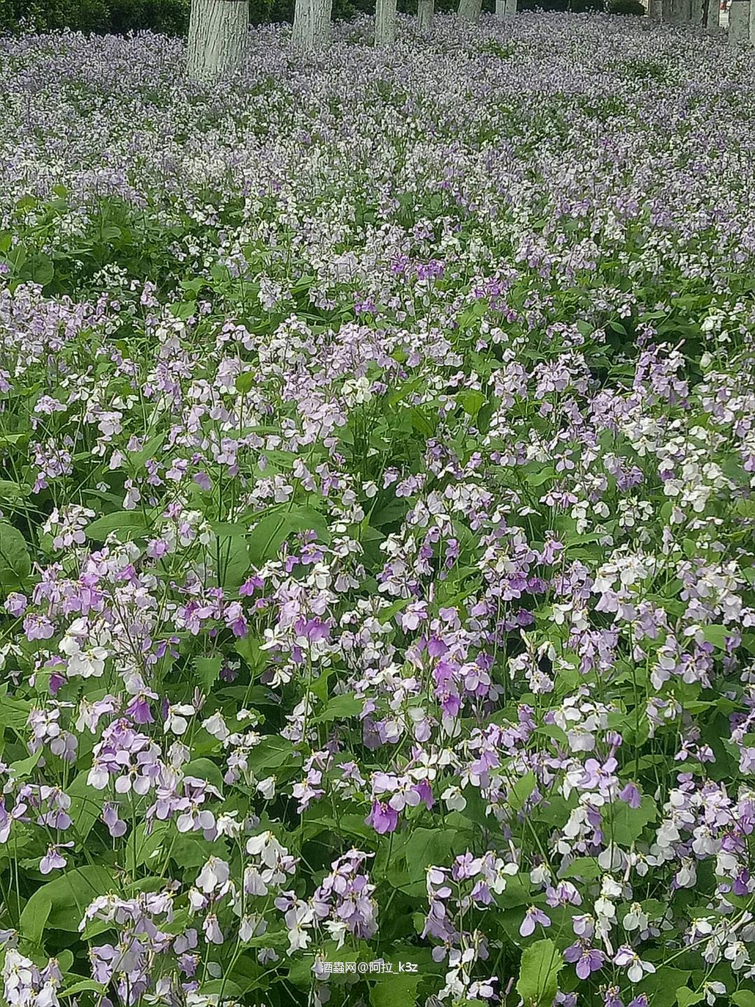 酒虫网络最近是怎么了😳😳我原来的会员号怎么找不回来了😓