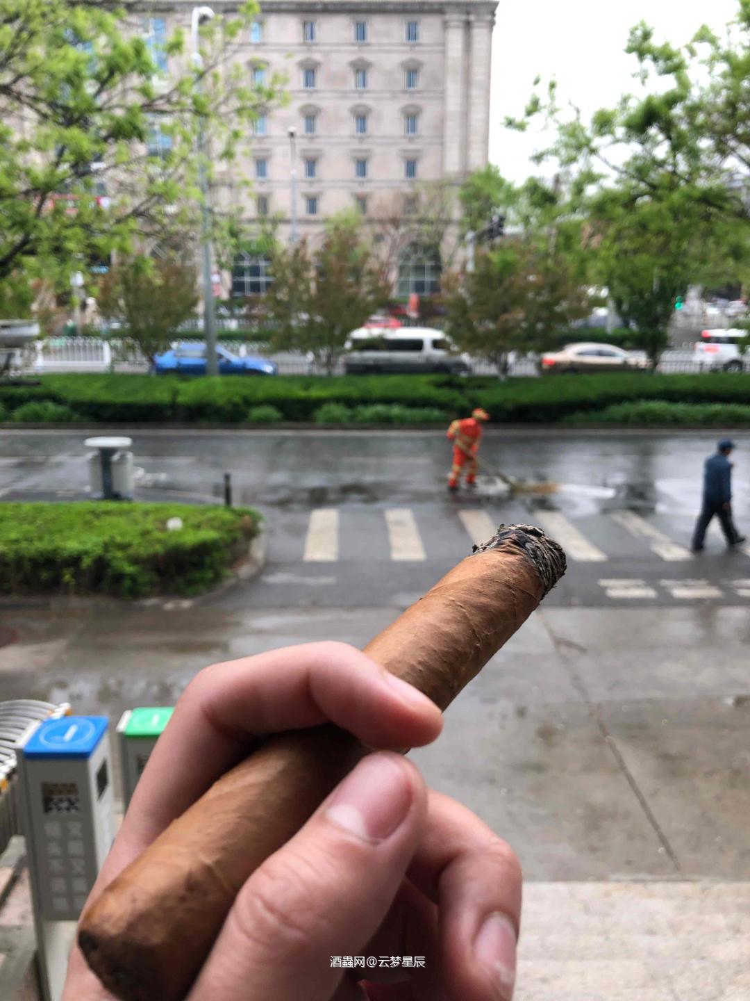 听风，赏雨，品茄，想你☁