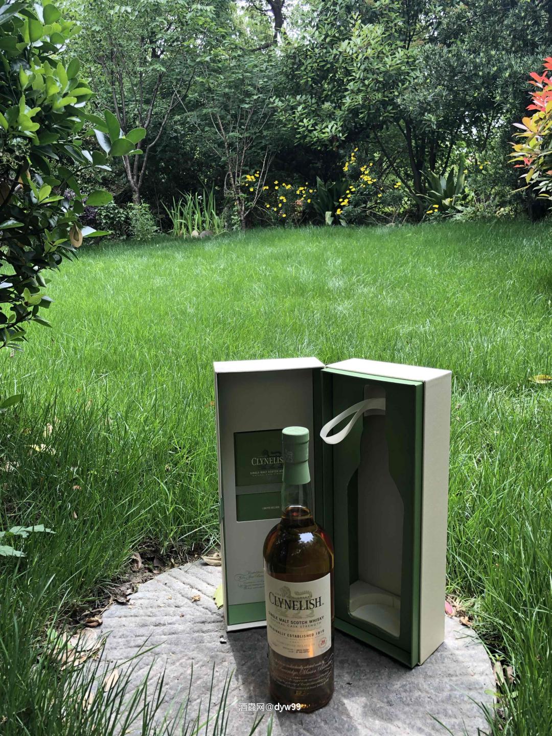 增加一点点色彩