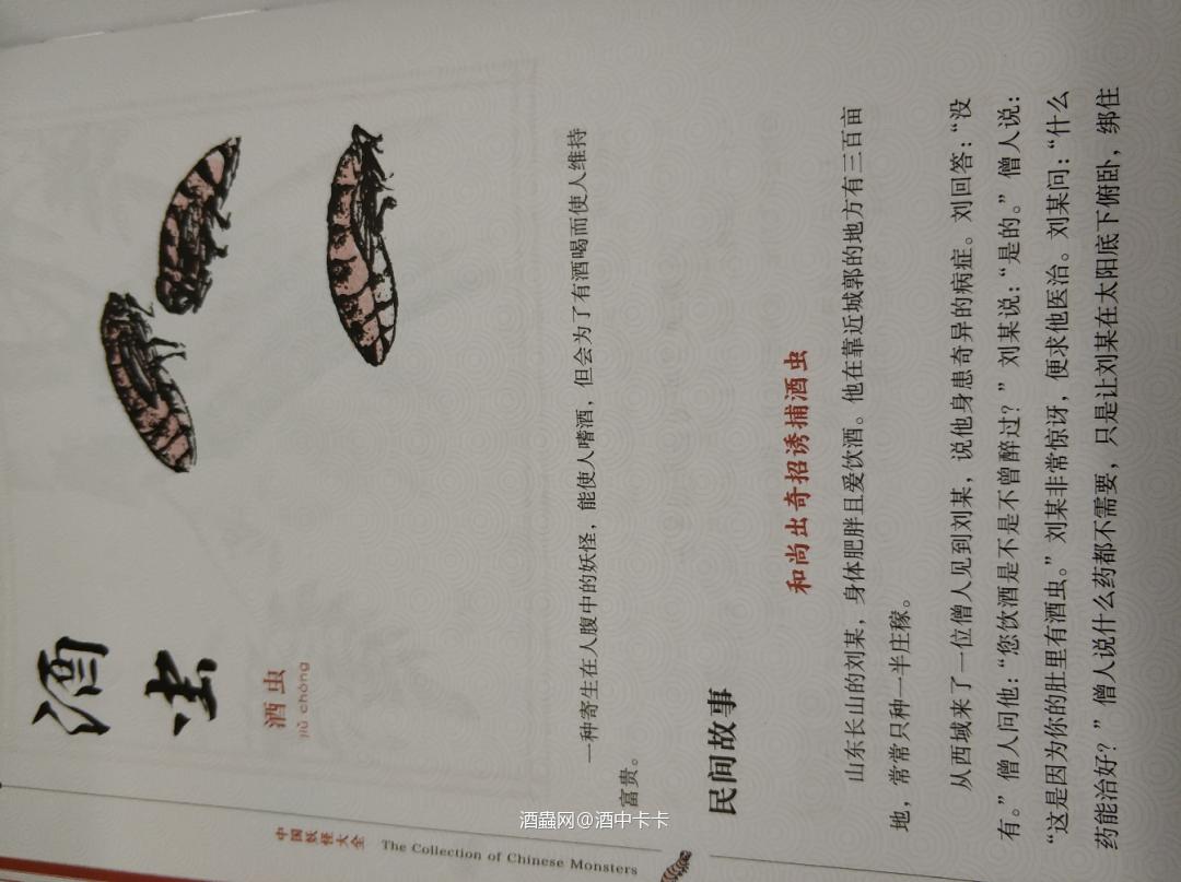 看来真的是 ：好酒好酒 越喝越有