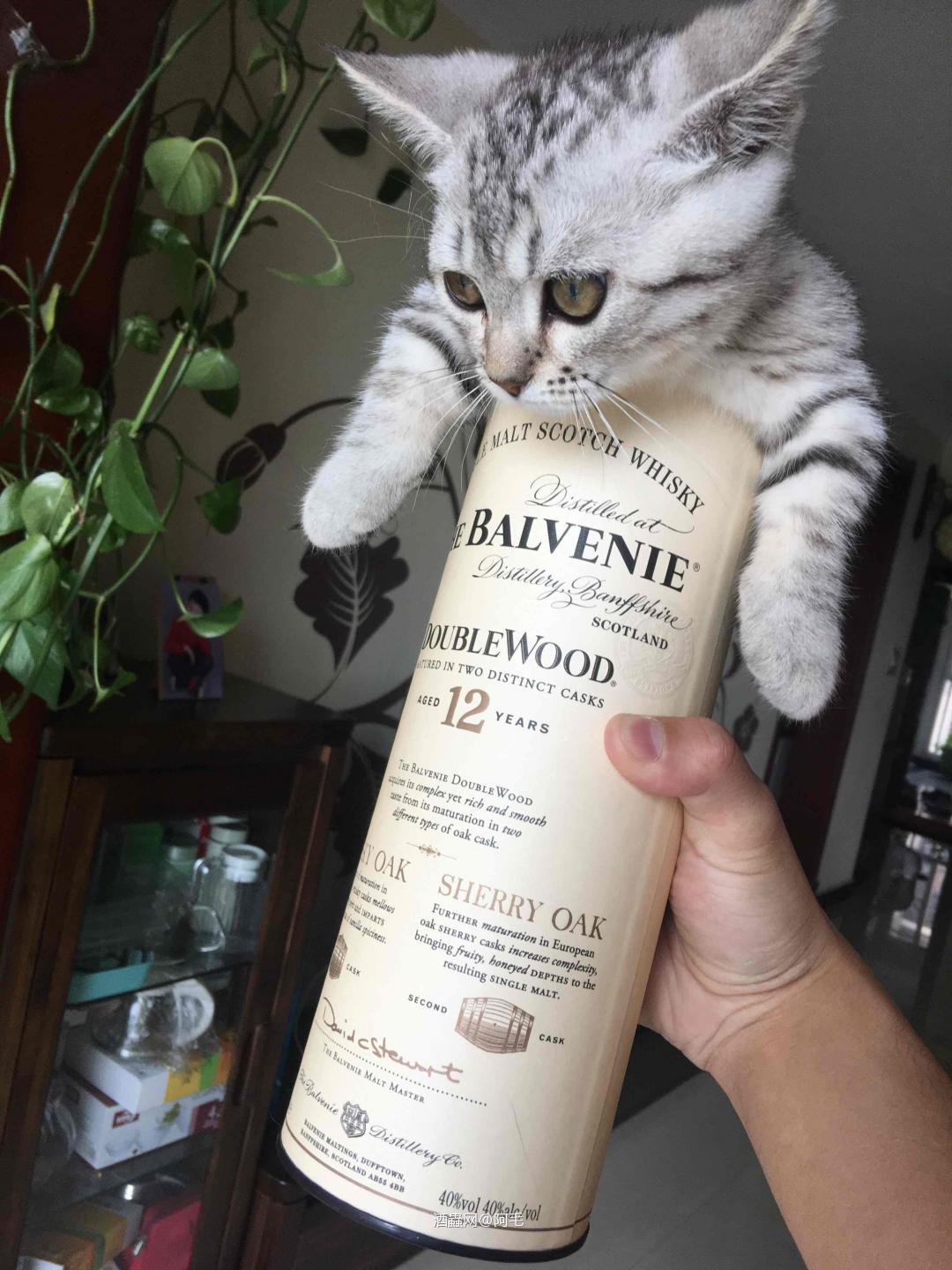 这是一瓶什么酒？