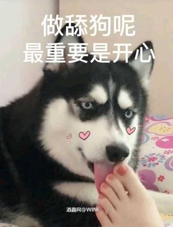 深圳的酒友怎么不发些这两天展会的图