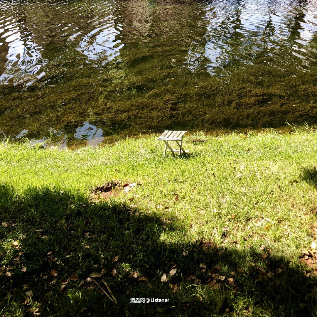 带雅柏，过个惬意的周末