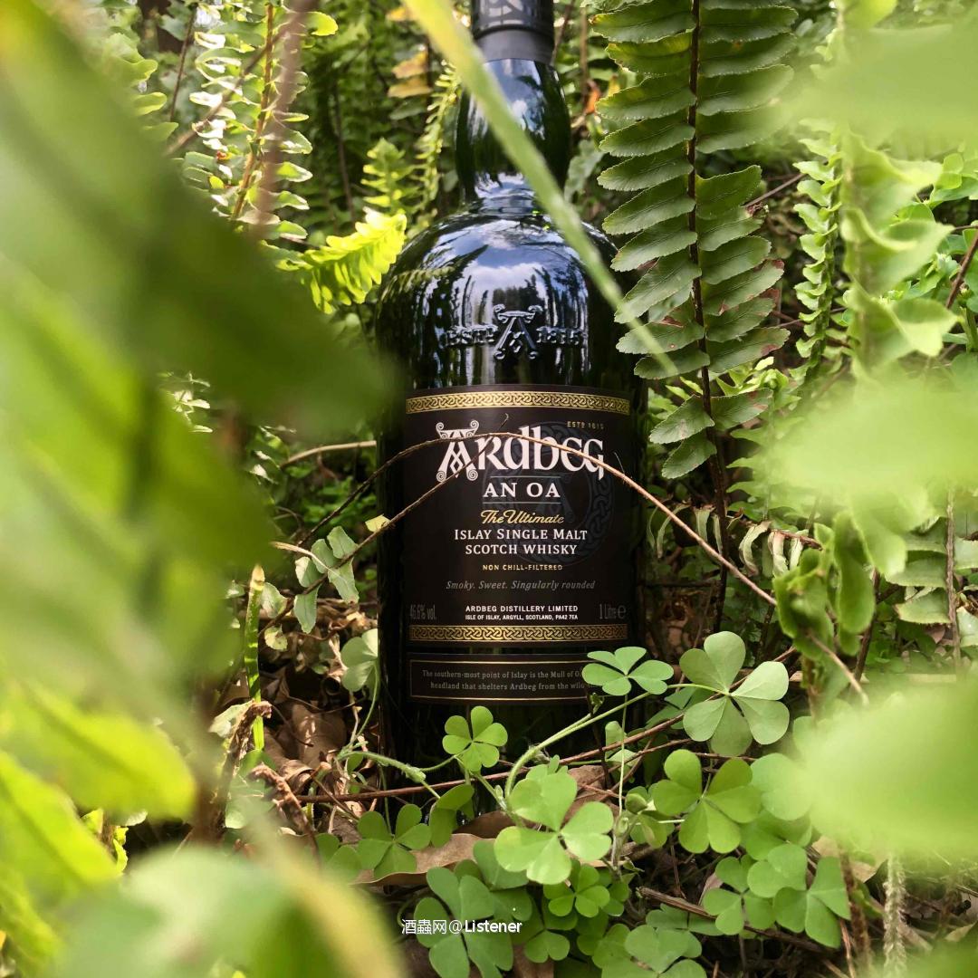 带雅柏，过个惬意的周末