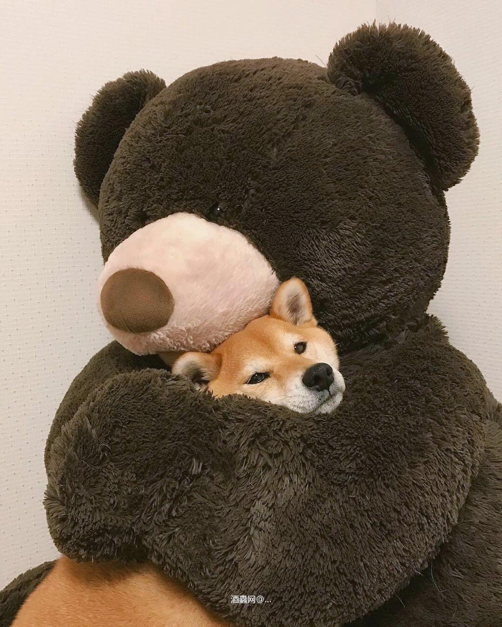 每年今日 开心就好