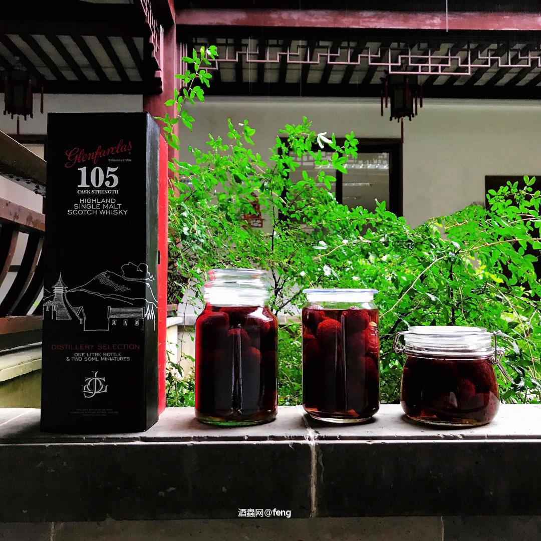 自制花蛤105杨梅酒