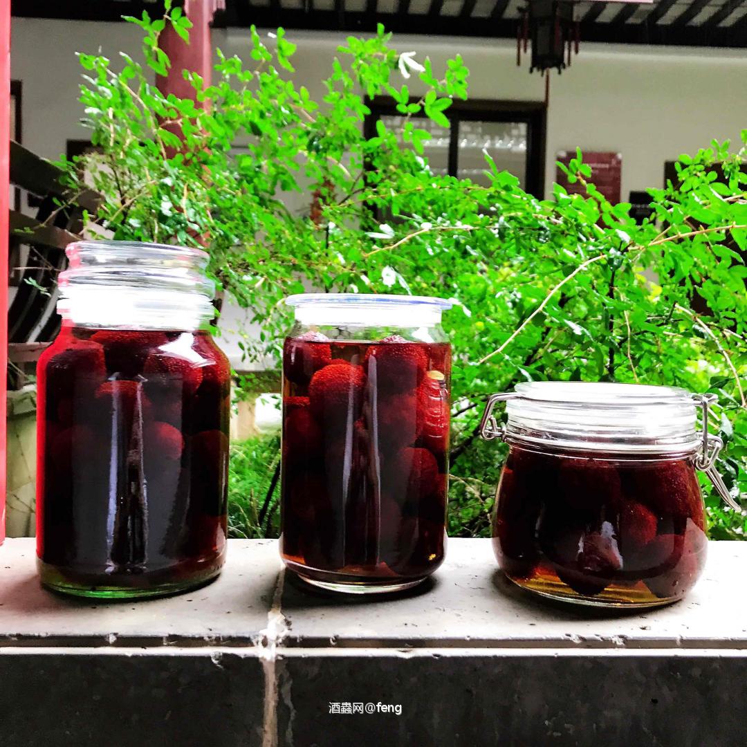 自制花蛤105杨梅酒