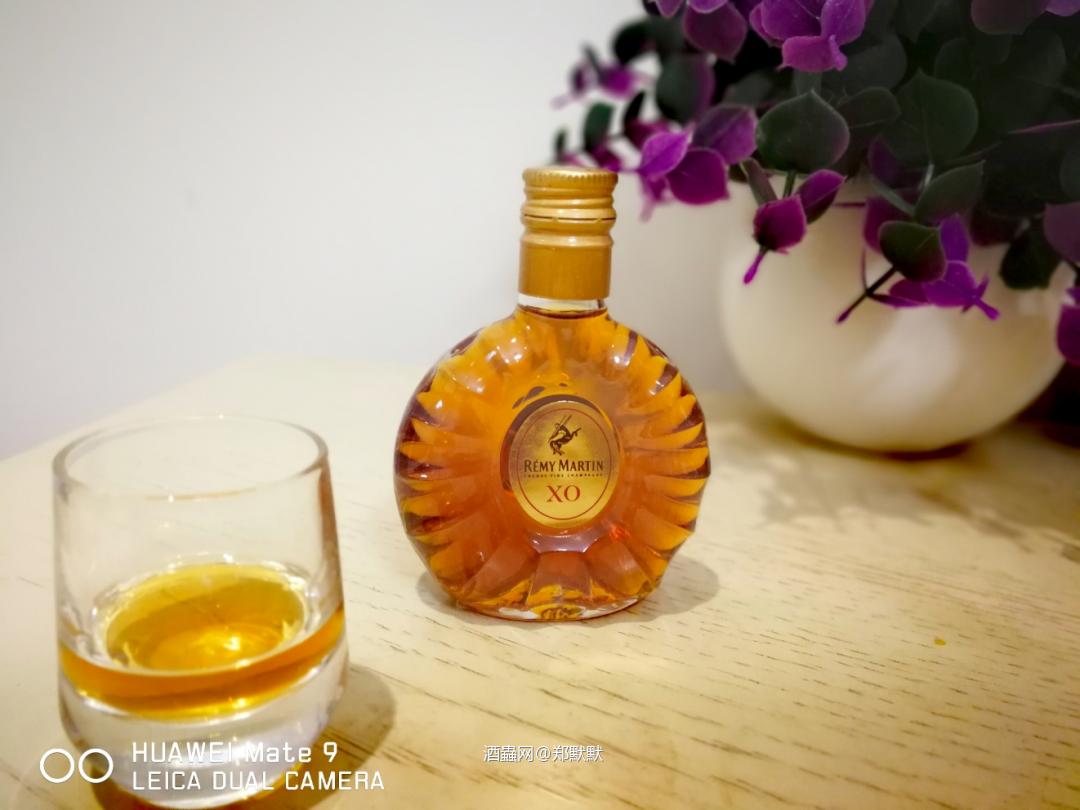 Rémy Martin XO