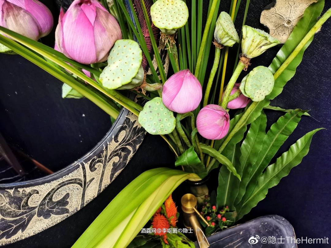 关于颇受争议的 隐士TheHermit洗手间