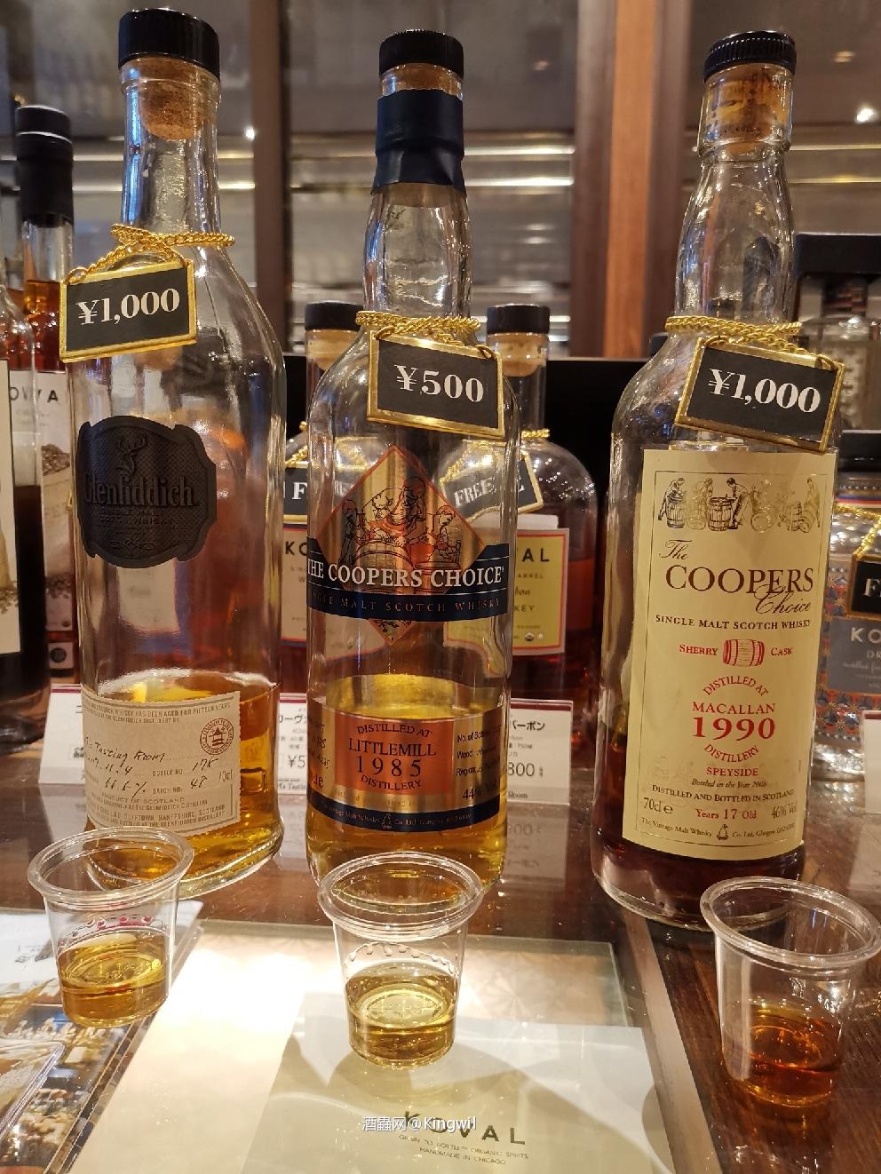 小猫真棒，托本莫瑞喜出望外