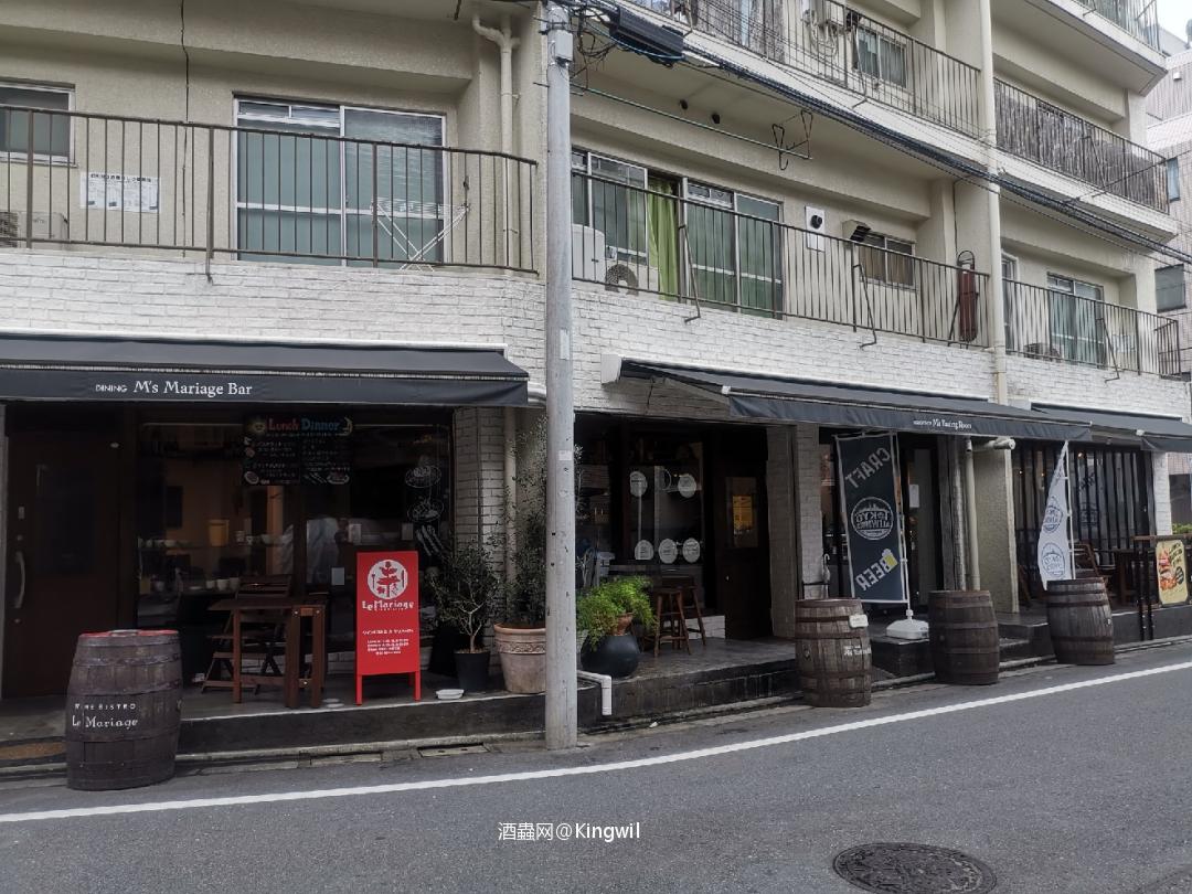 小猫真棒，托本莫瑞喜出望外