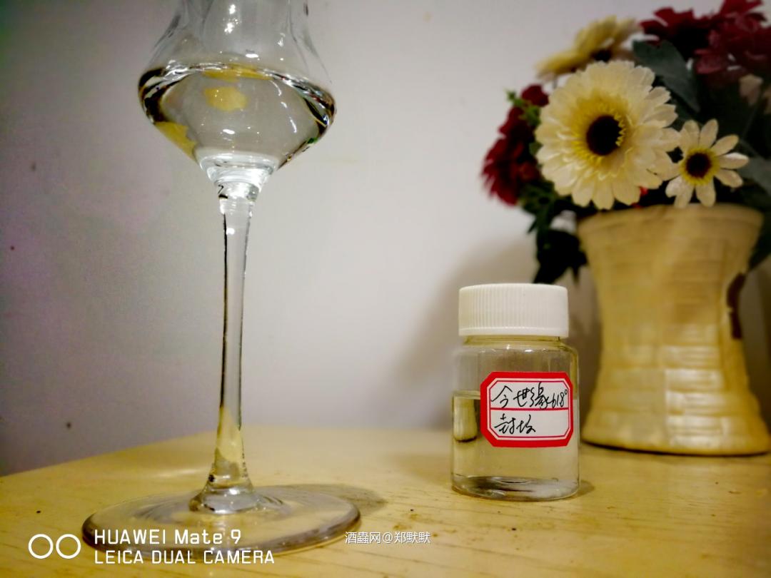 今世缘 ·封坛61.8