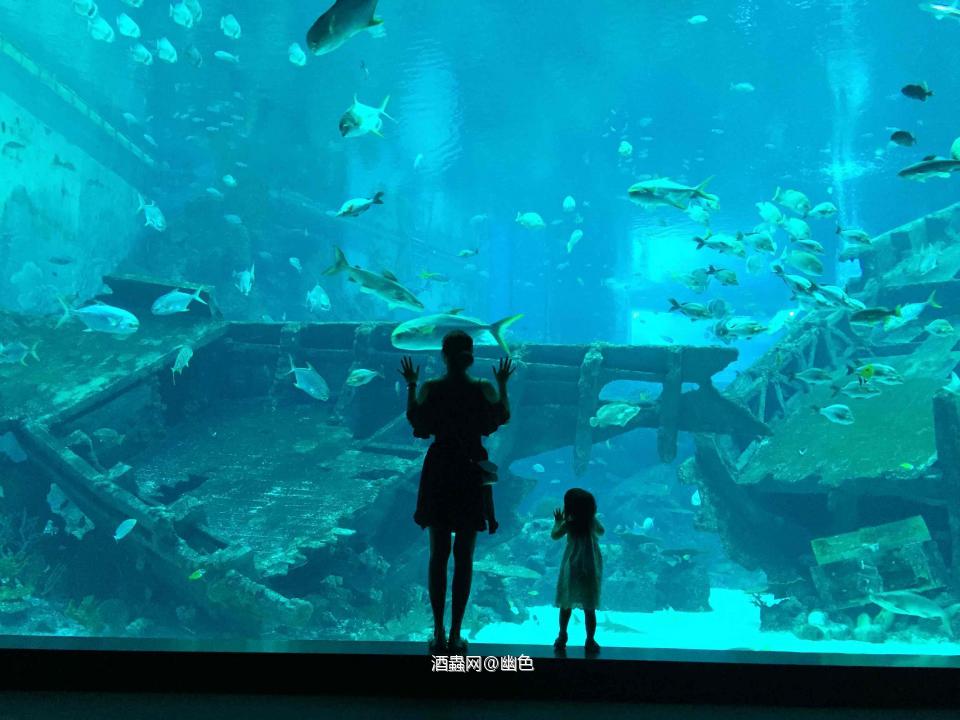 七夕当然带着大小情人一起过啦，选一款kavalan的S09过节，希望生活和这款酒一样，都甜一些，回味久一些。