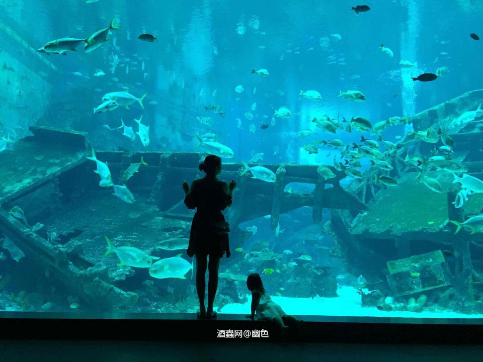 七夕当然带着大小情人一起过啦，选一款kavalan的S09过节，希望生活和这款酒一样，都甜一些，回味久一些。