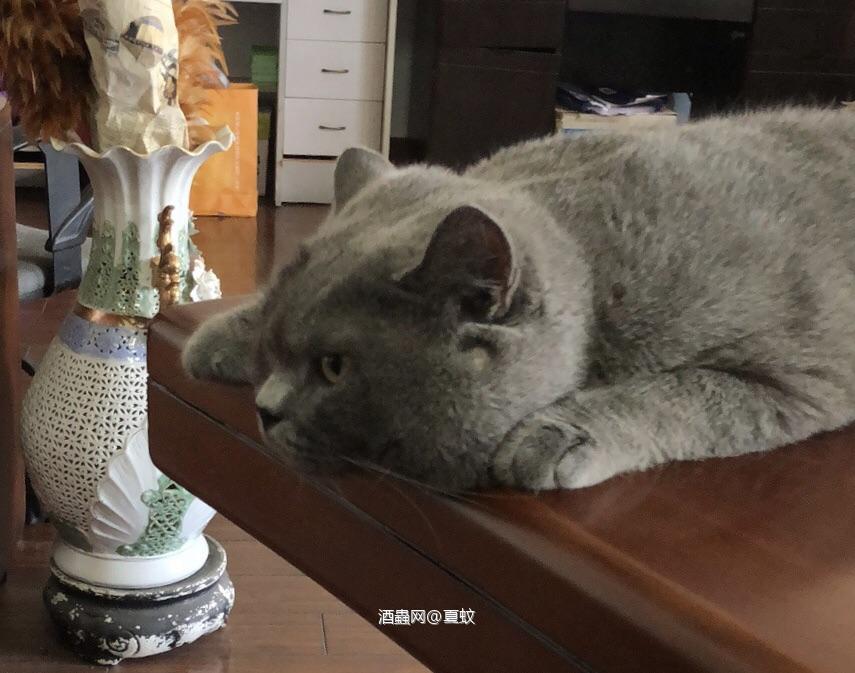 感谢酒虫网，最后补了作业<img src='https://sdata.whiskyworm.com/xcxpics/emoji_1.png' class='emoji' />