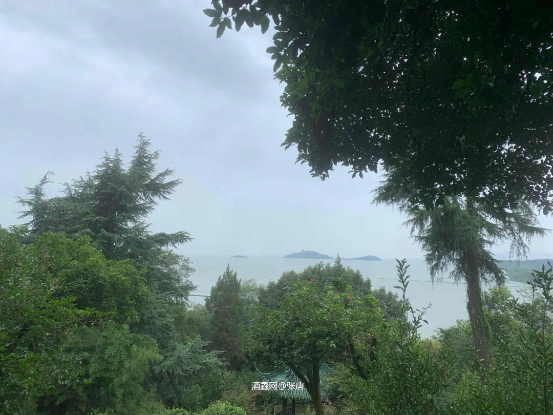 几支Caol ila，草伊拉