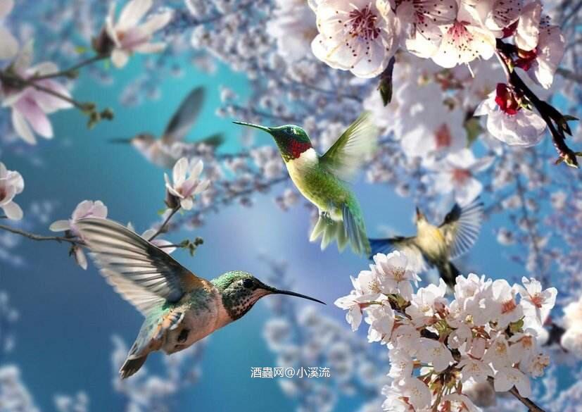 格兰杰2005，酒评