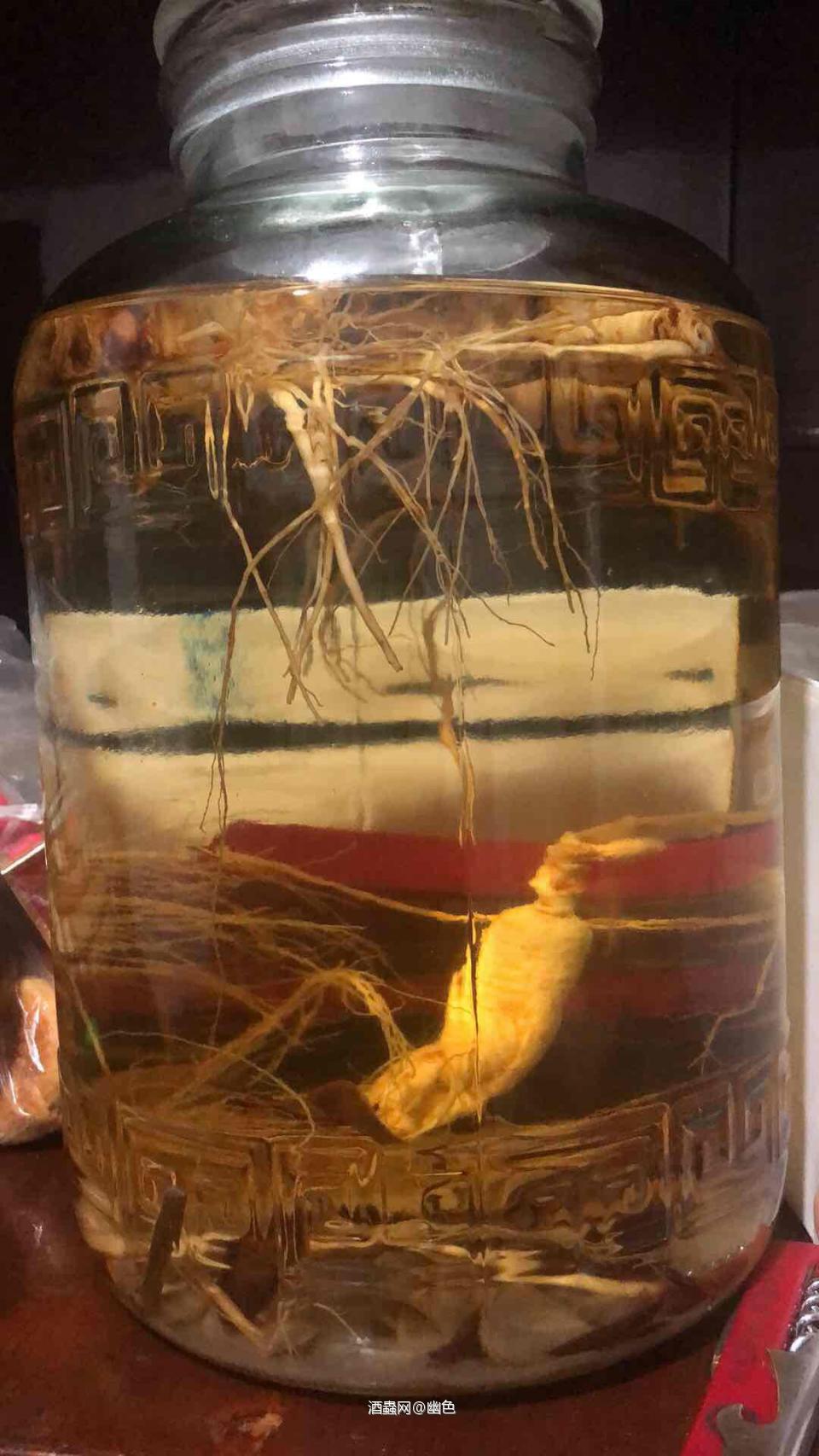 “但愿人长久 千里共婵娟”中秋答应陪老爷子喝他泡的参酒 ，中国节嘛，传统酒总是要喝的。再开一瓶波本吧. 学着老人们讨个口彩。沃福，给接下来的日子添些福. 愿亲人朋友们都健健康康平平安安