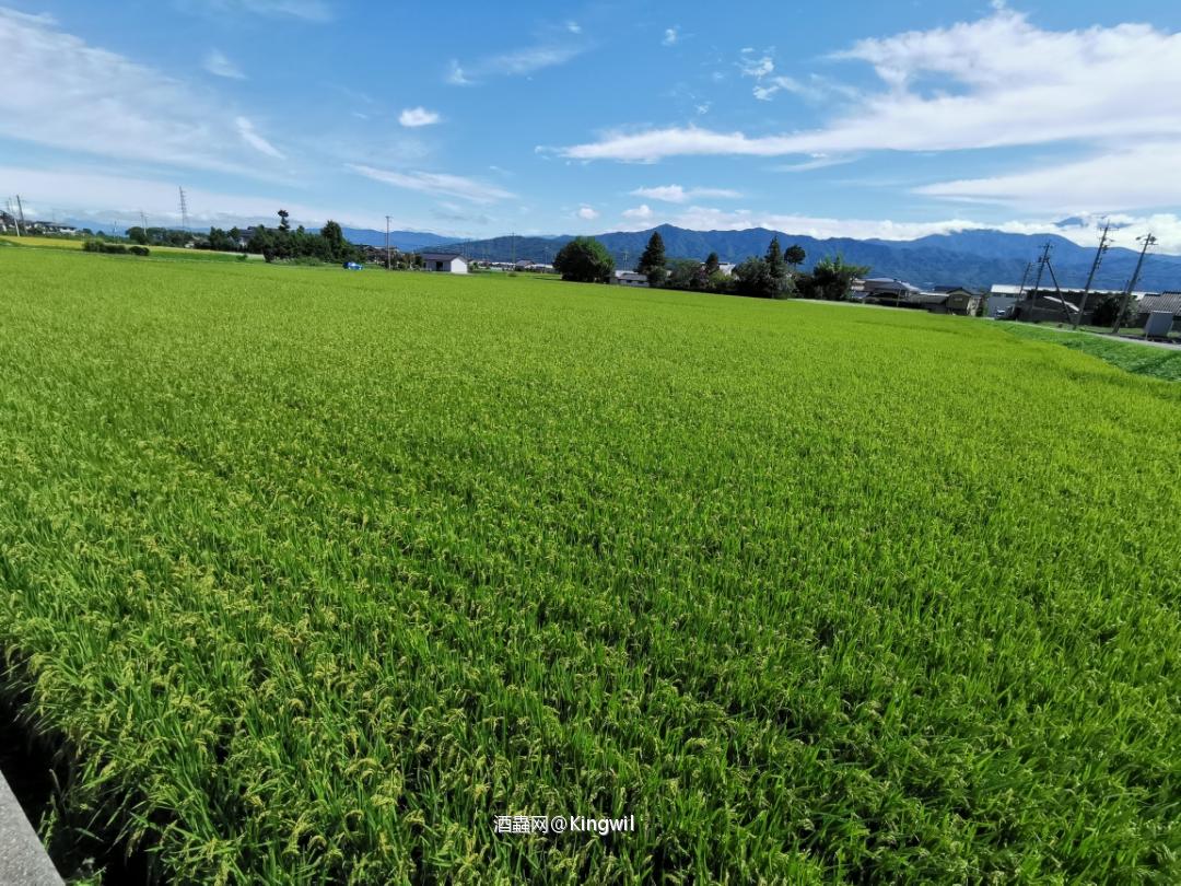 信州Mars 駒ケ岳工场佛系见学行