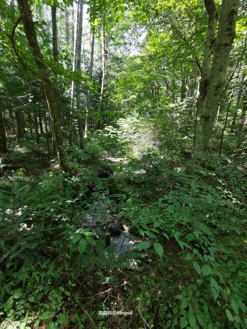 Mars信州酒厂周边游览 探访駒ケ岳水源地