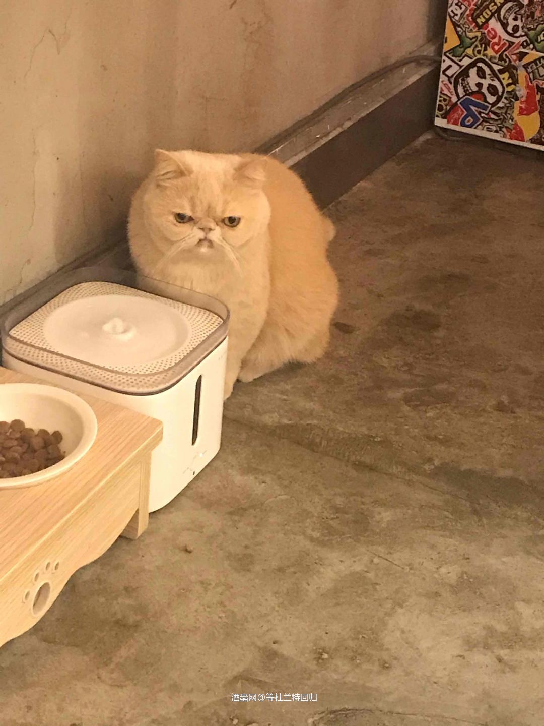 这个游戏太好玩了哈哈哈