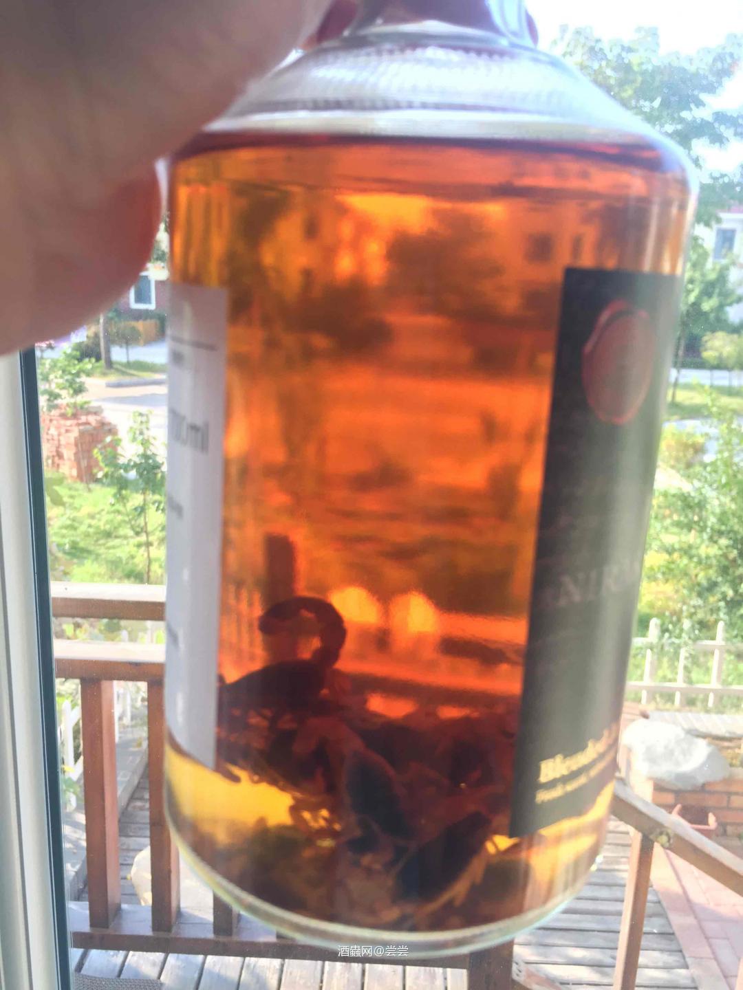 国庆假期,泡日威蝎子酒