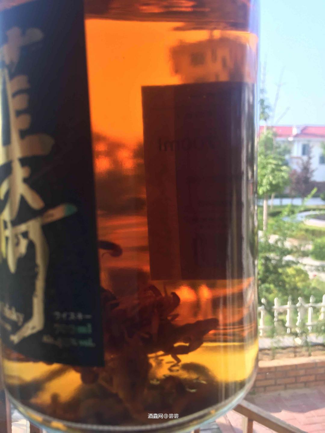 国庆假期，泡日威蝎子酒