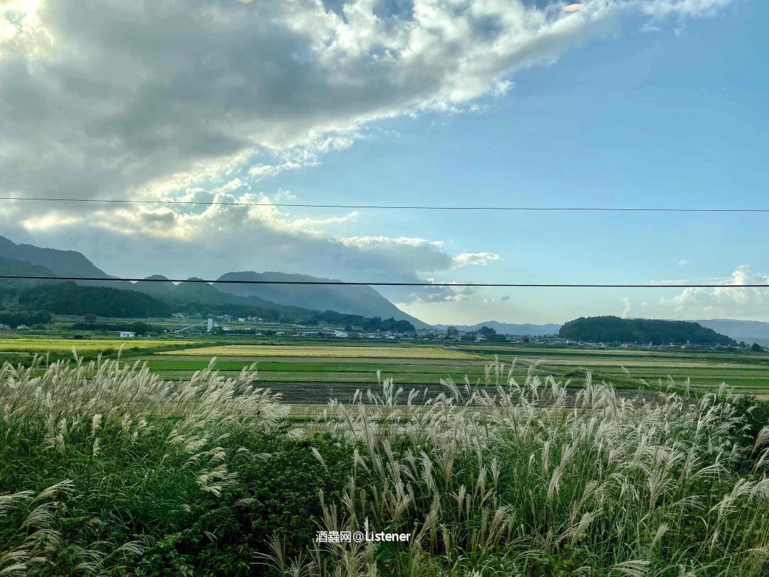 一杯🍺，一趟旅程