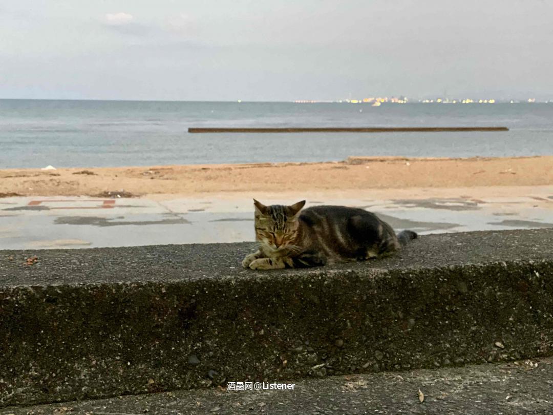 安静的时光很短，也很足够.