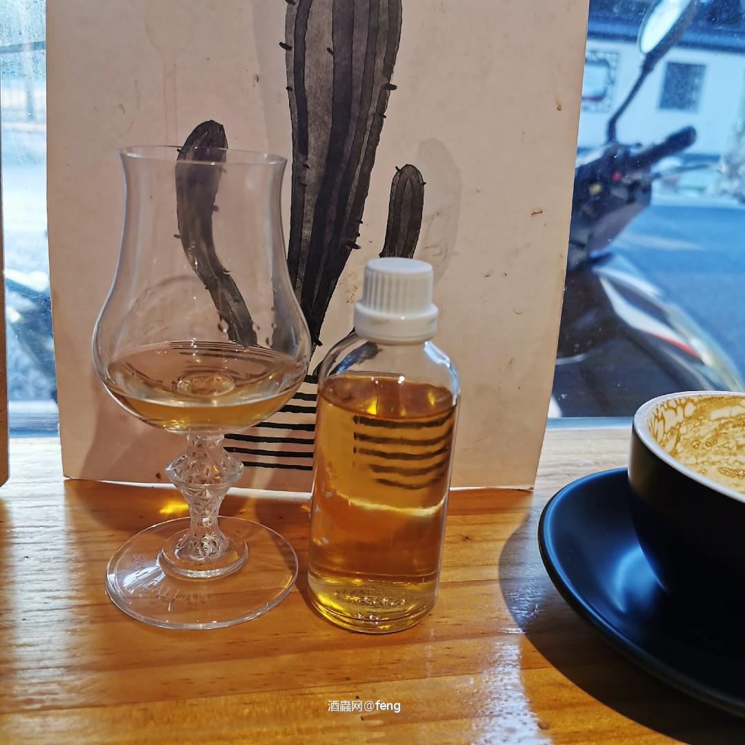 罗曼湖21年漫画标