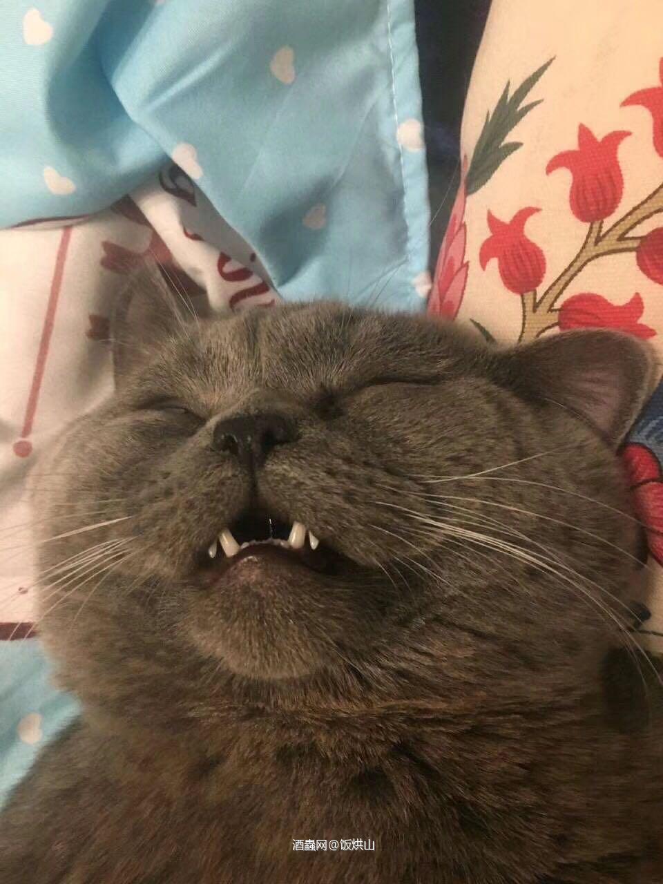 抬头挺胸喝点酒，面色红润有光泽