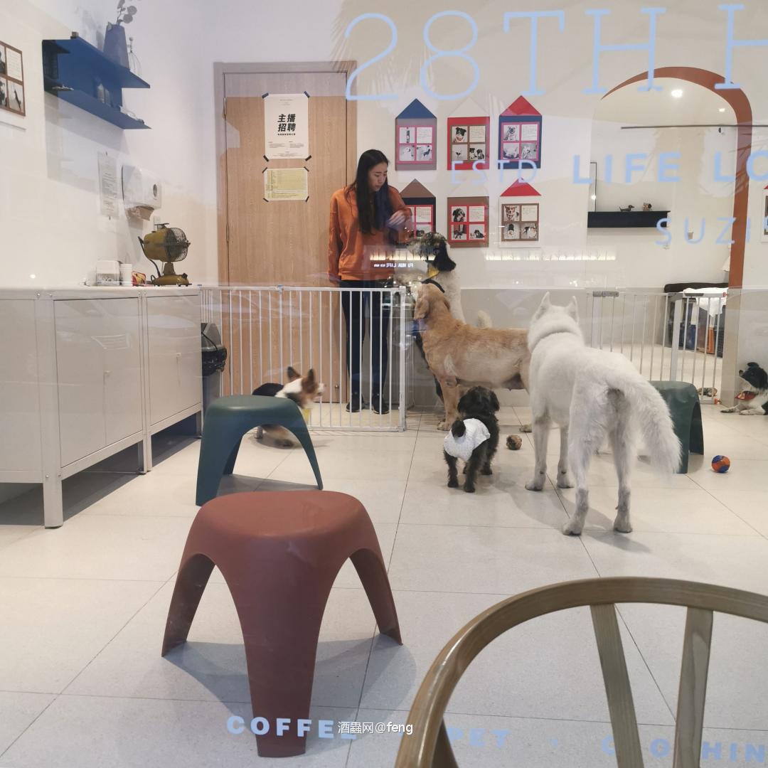 约了个下午咖啡酒