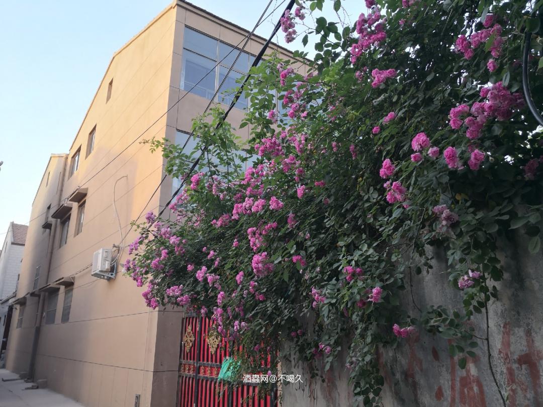 多曝光卖假酒的骗子