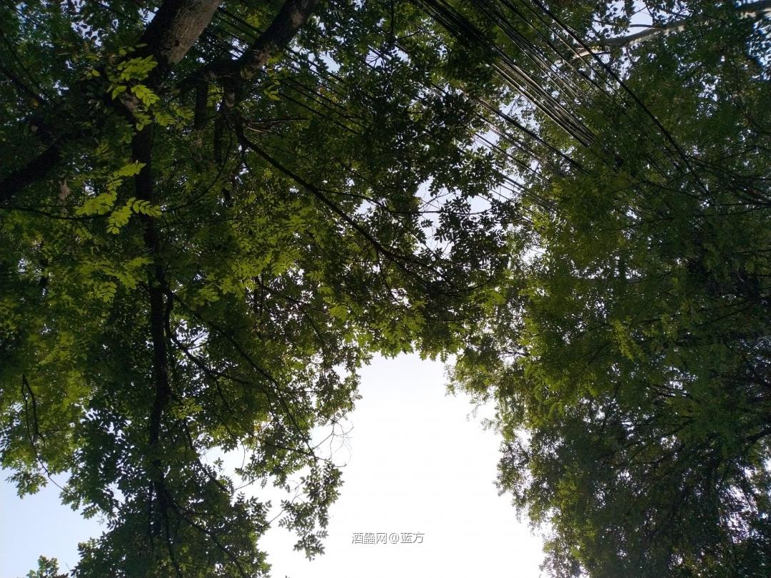 2019SR哪个值得买呢