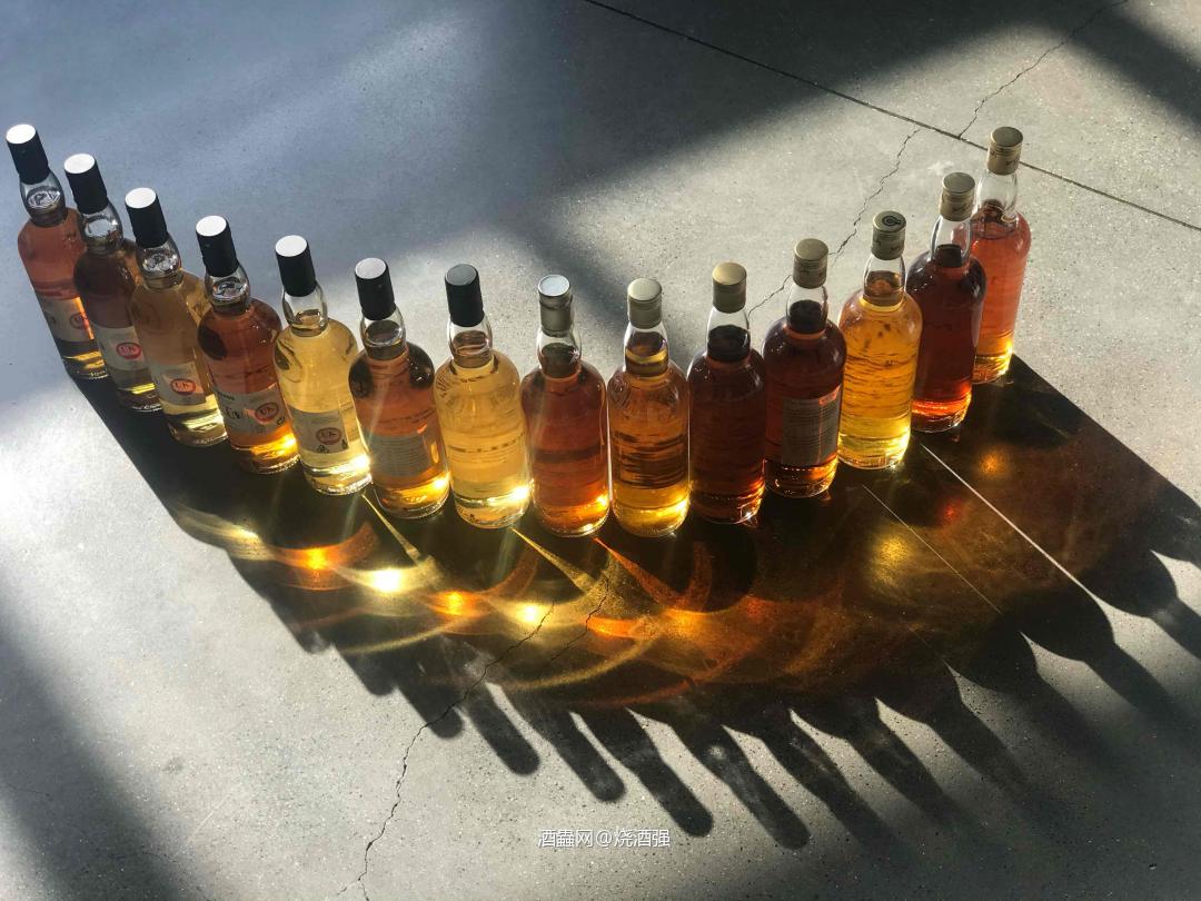 TMD系列，美不美