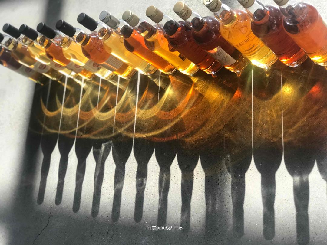 TMD系列，美不美