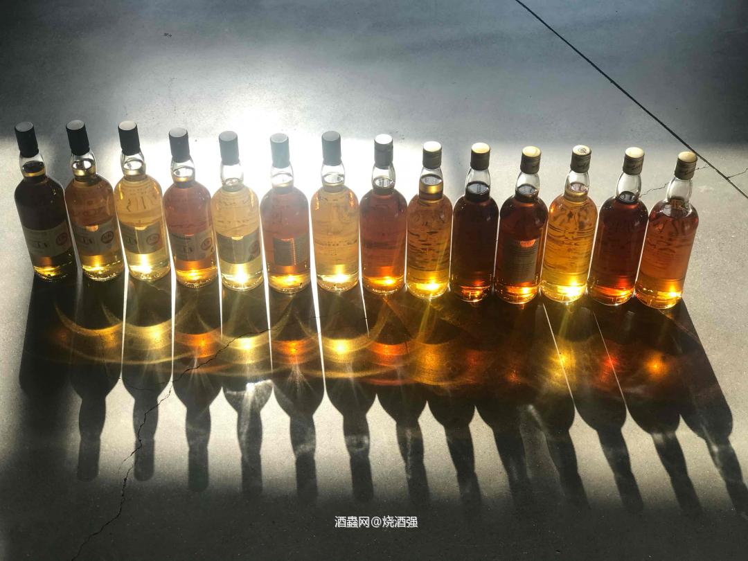 TMD系列，美不美