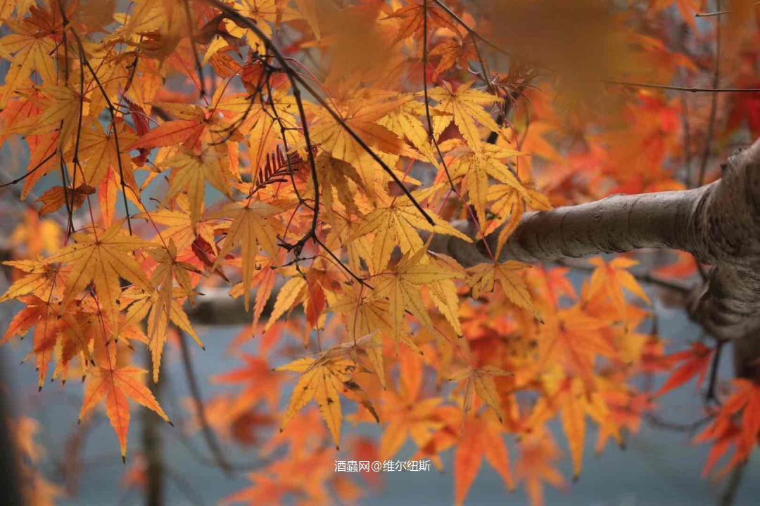 相聚时节 回归最初的粗犷