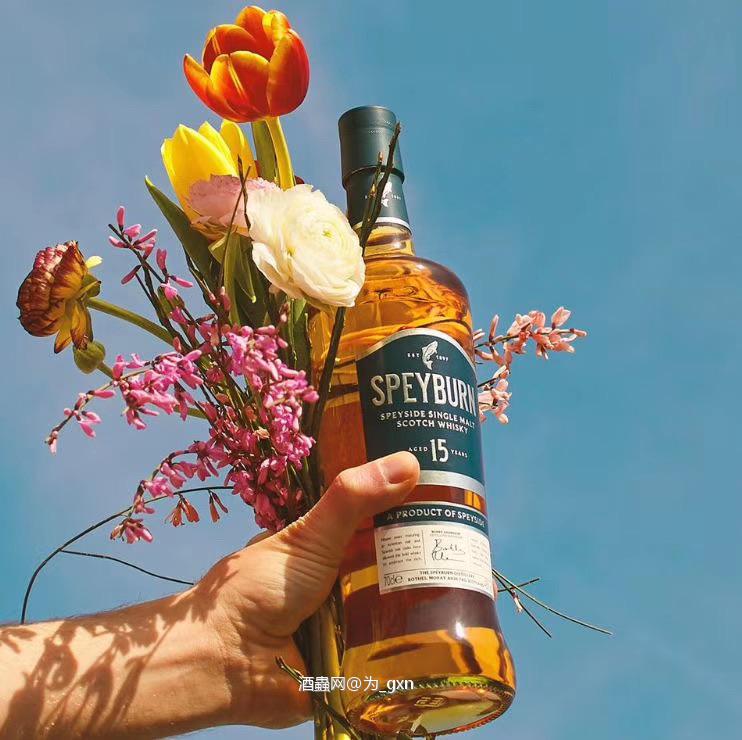 盛贝本15年，46%<p class='p'/>我还蛮喜欢叫它斯佩波恩这个名字。<p class='p'/>酒体…