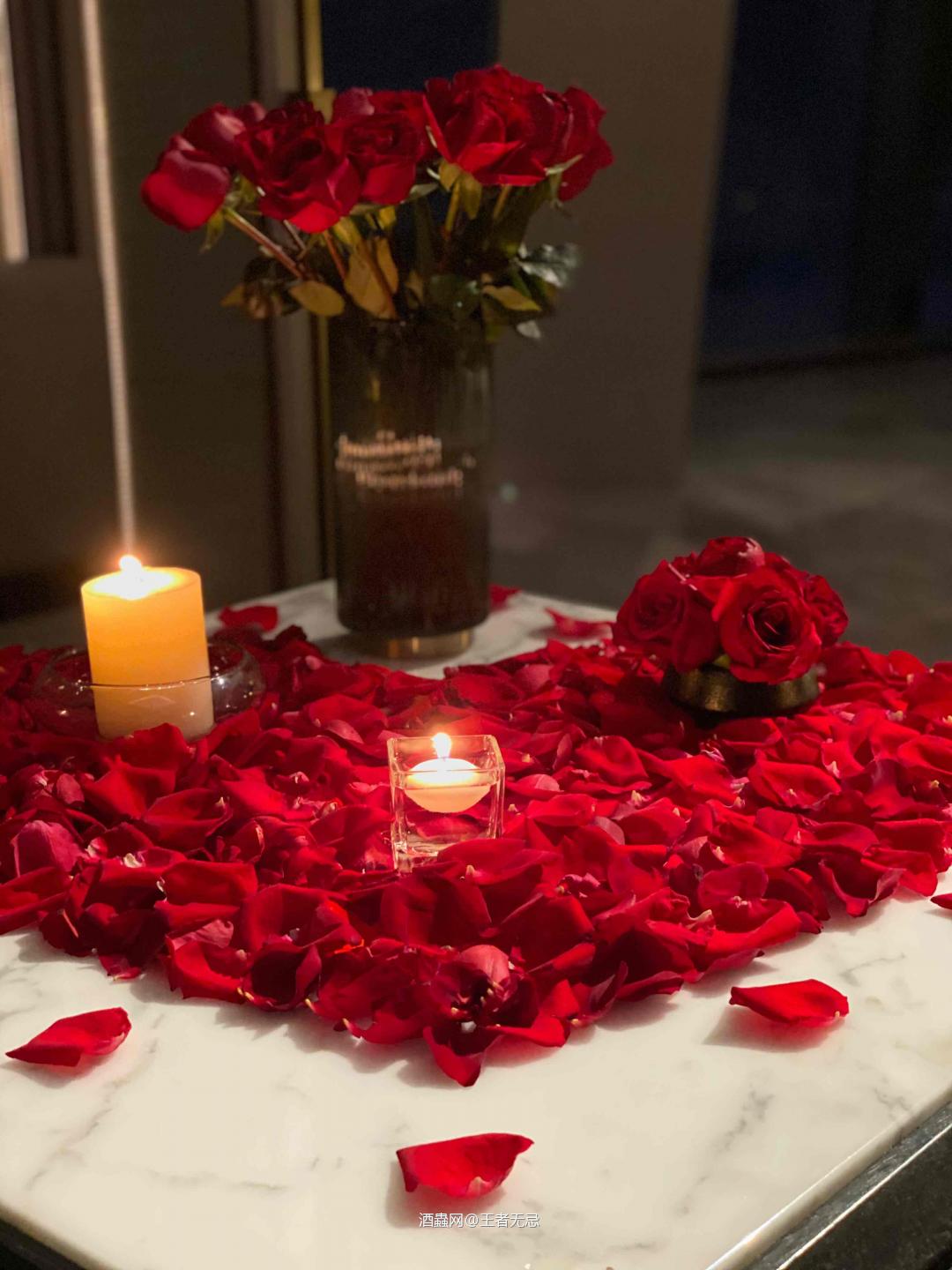 師走 十七 土曜日 晴 于傲盧