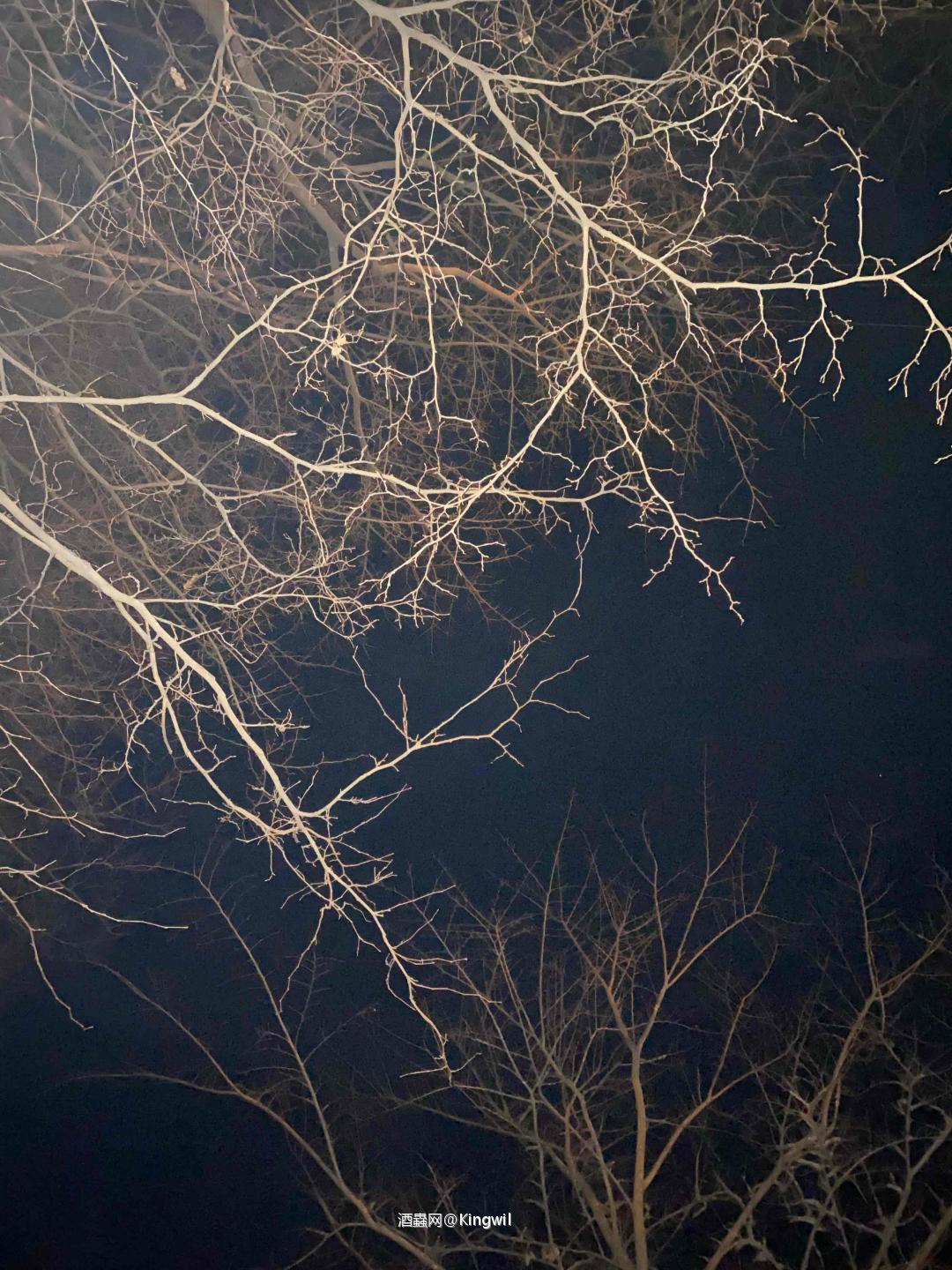 八ケ岳的星光🌟