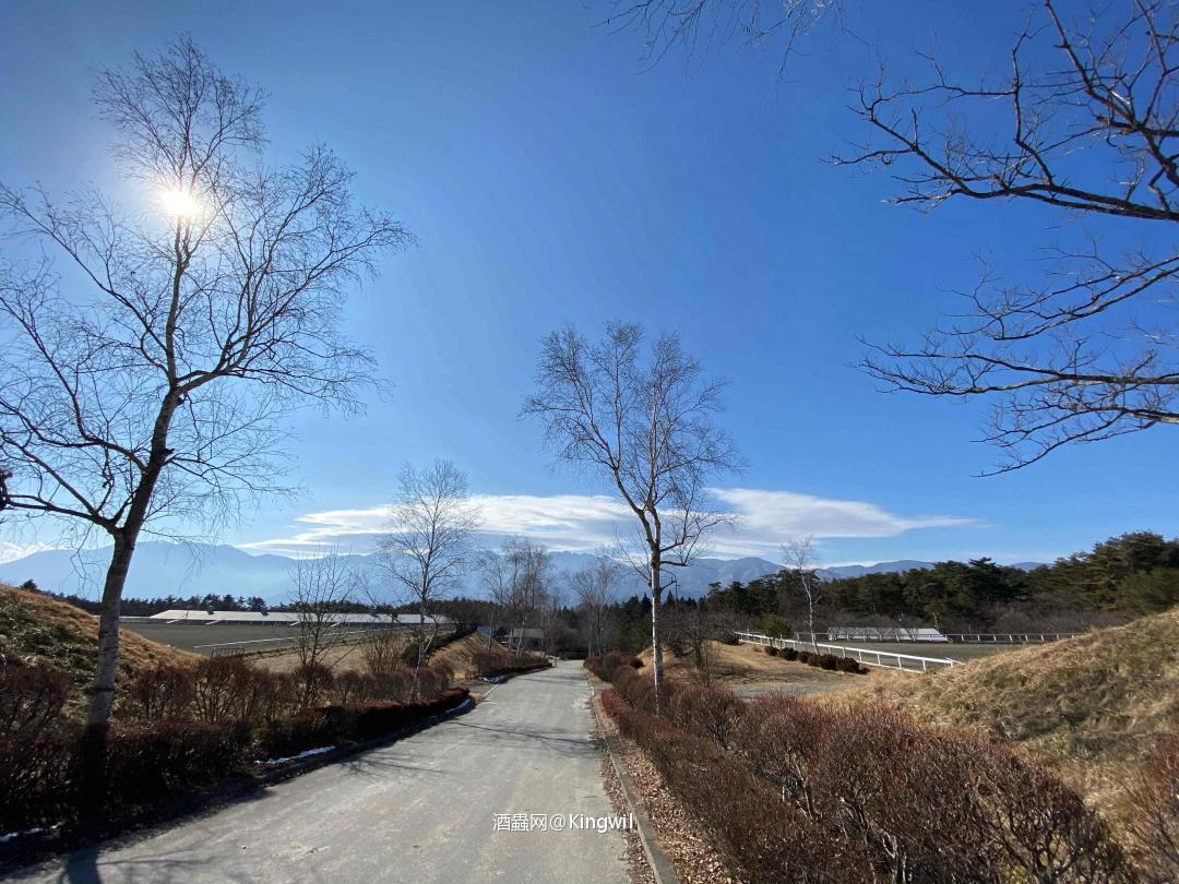 八ケ岳的星光🌟