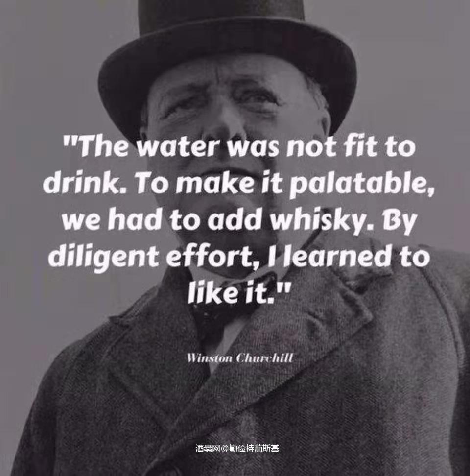 过年🧨喝好点🧨