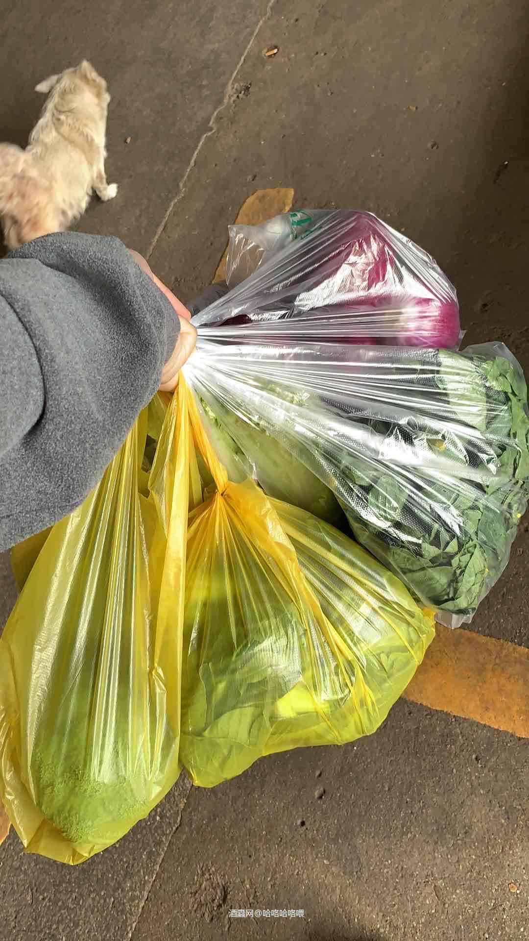 开始制造恐慌了吗?