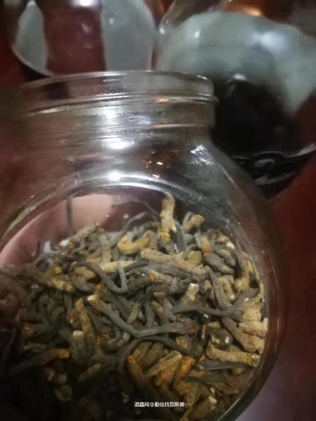 增强抵抗力<img src='https://sdata.whiskyworm.com/xcxpics/emoji_31.png' class='emoji' />，找了瓶手头度数最高的