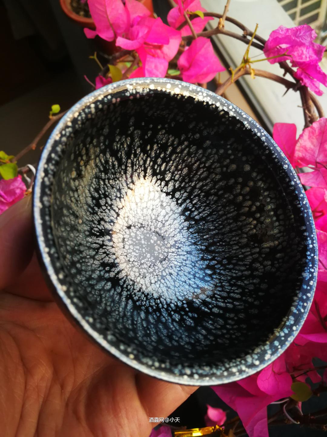 200211格兰哥尼21年酒评一则