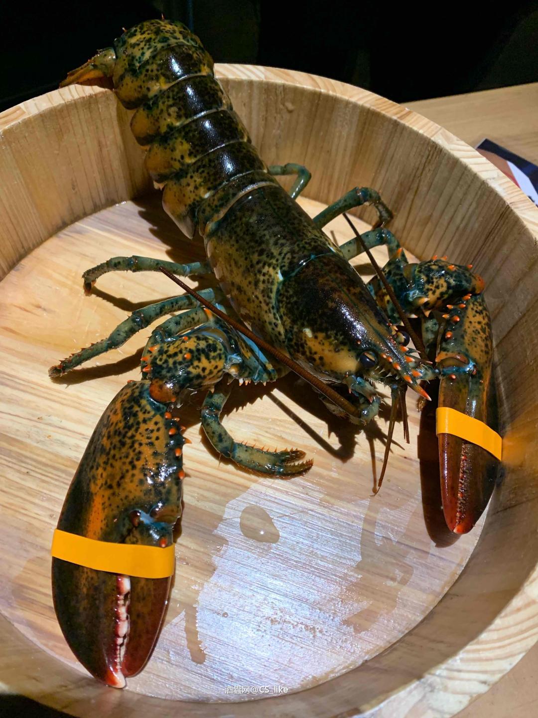 🥃初次雪莉之恋❤️2.5次蒸馏52.3% 强力需求要大量！再贵就只会买麦卡伦No1🏦