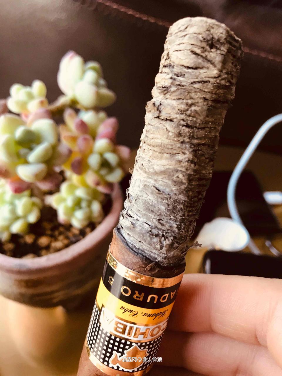 交流交流，纯爱好