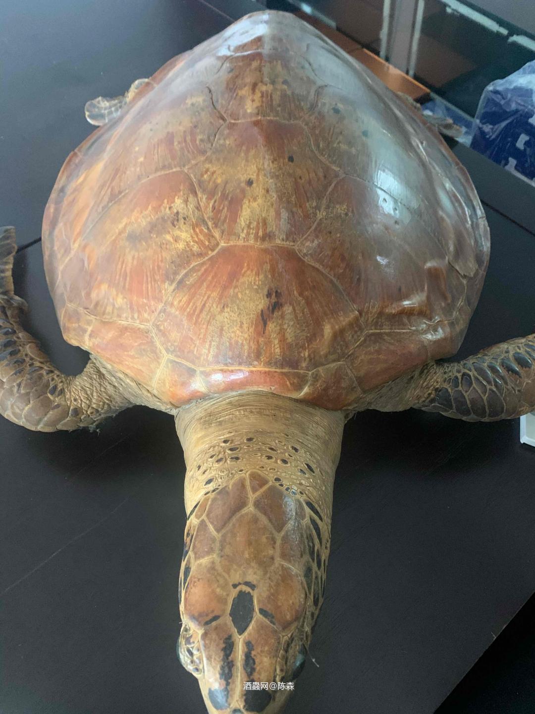 都忘记了还这个酒