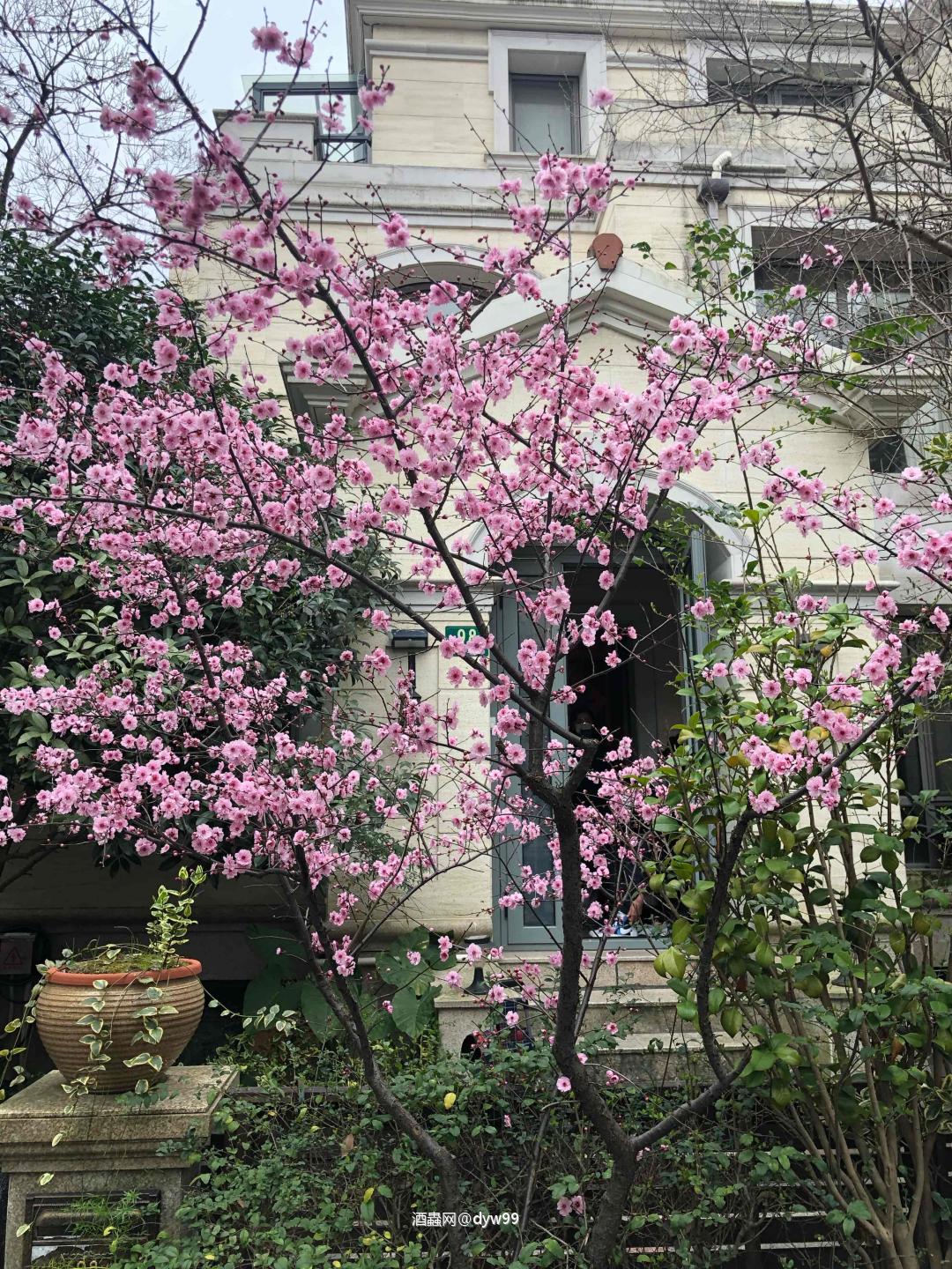 我等到花儿都开了……